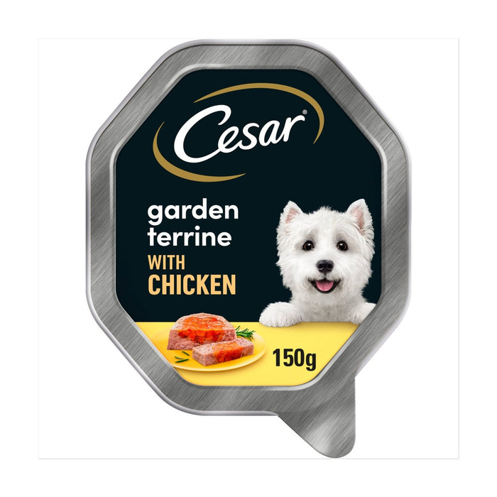Cesar Garden Terrine Dog Food Tray Poulet et Garden Vegetables à Loaf 150G